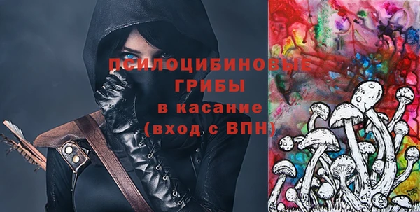 мдма Богородицк