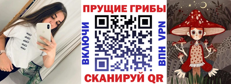 где продают наркотики mega вход Псилоцибиновые грибы мицелий Екатеринбург